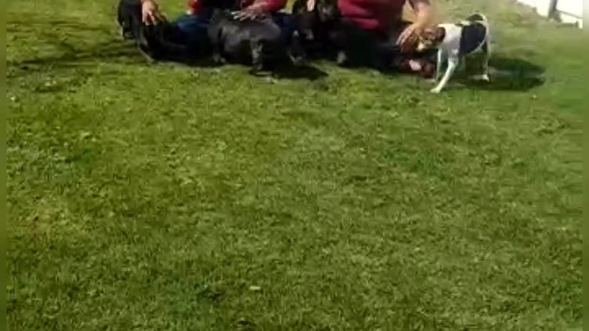 This is one big pack